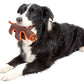  DogTeethingToy