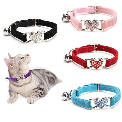 Pet Collar