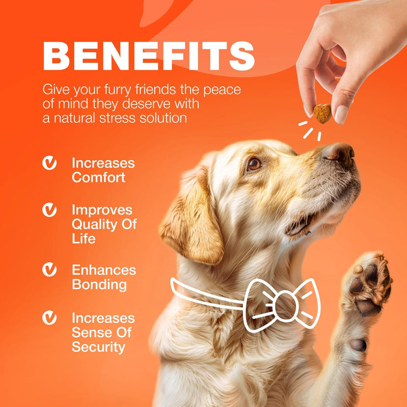 HempFlex Joint Chews |Glucosamine Mobility Bites |JointEase Hemp Chews |FlexiPaws Hip & Joint Treats |HempHip Joint Support Chews |MoveWell Dog Chews |PawFlex Joint Health Bites |Hip & Joint Vitality Chews |Canine Mobility Boost Chews |ActivePup Hip & Joint Treats