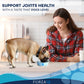 Sensitive Dog Joint