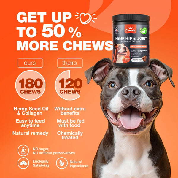 HempFlex Joint Chews |Glucosamine Mobility Bites |JointEase Hemp Chews |FlexiPaws Hip & Joint Treats |HempHip Joint Support Chews |MoveWell Dog Chews |PawFlex Joint Health Bites |Hip & Joint Vitality Chews |Canine Mobility Boost Chews |ActivePup Hip & Joint Treats