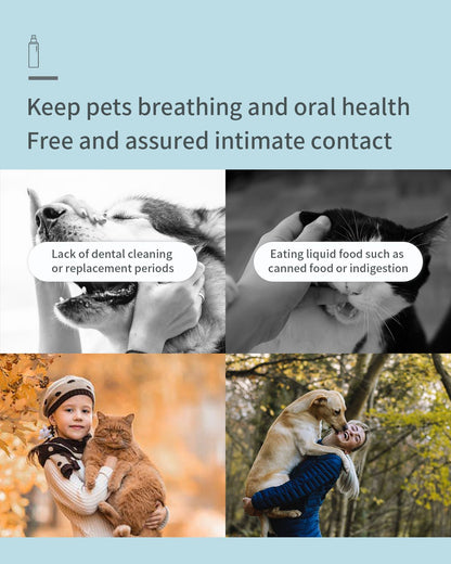 dog teeth cleaning spray