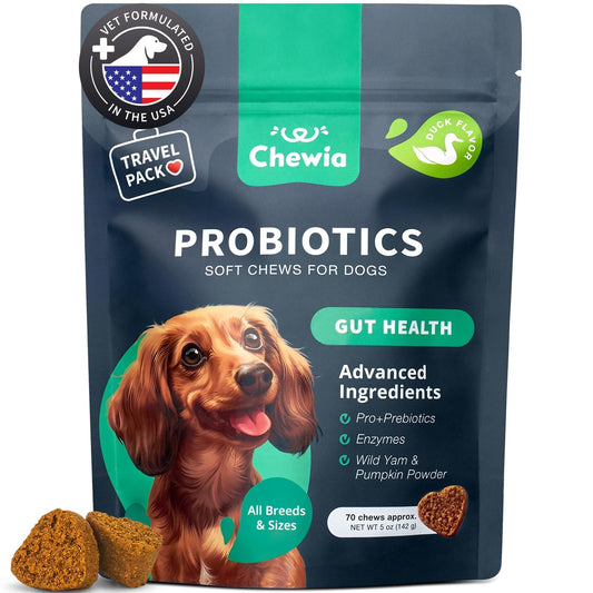 Gut Health Probiotic Chews for dogs, supporting digestion, immunity, and gut health with probiotics and natural ingredients.