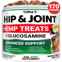 Hemp Hip and Joint