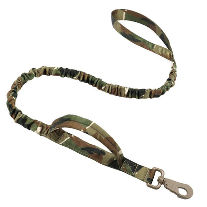 Bungee Dog Leash