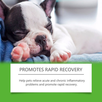 Dietary Supplements For Dogs