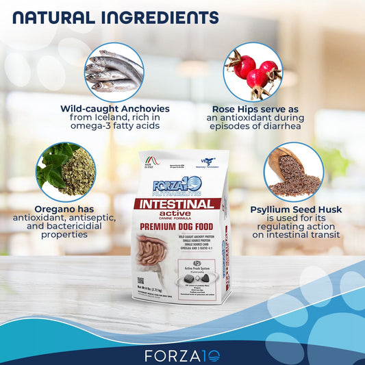 Active Dog Intestinal