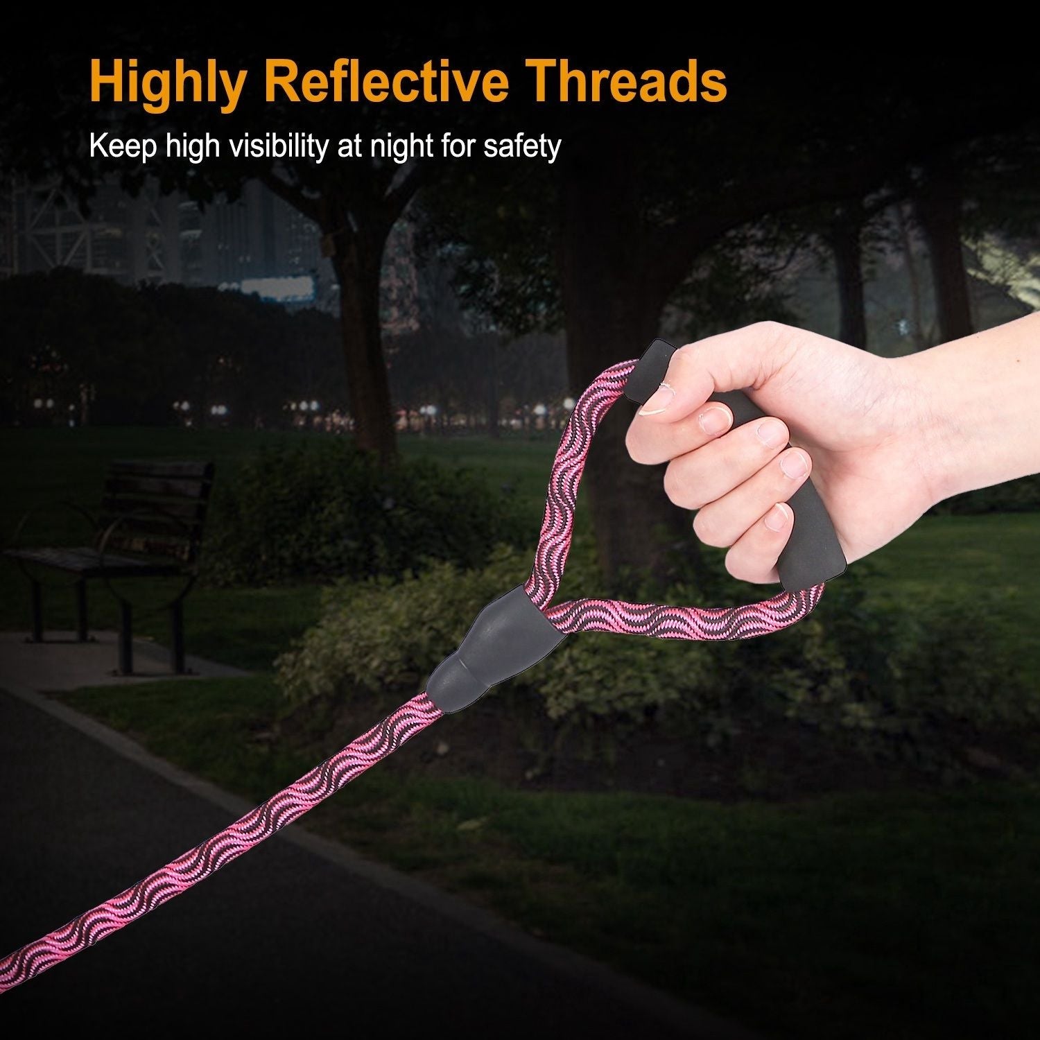 Double Dogs Leash