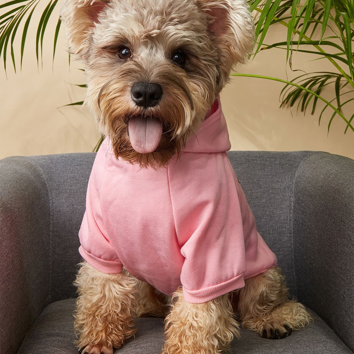 Pet Hoodie