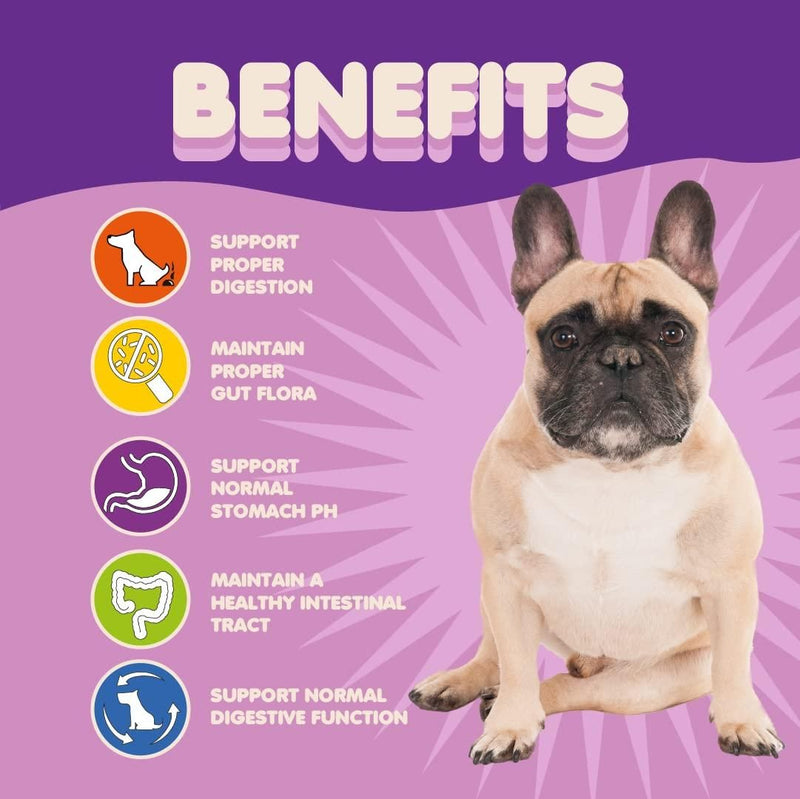 | Gut Boost Probiotic Powder | Digestive Care Probiotics | Tummy Health Probiotic |
Canine Digestive Support | Allergy Relief Probiotics | Probiotic & Enzyme Blend |
Immune & Gut Support Powder | 5 Billion CFU Dog Probiotics |
Healthy Tummy Probiotic Mix | Advanced Probiotic Formula |