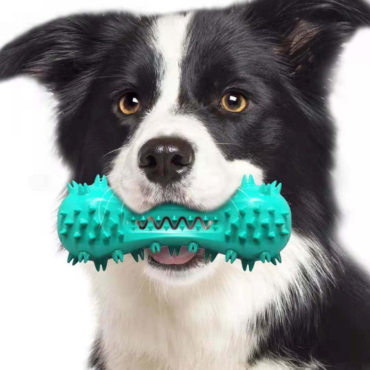 Pet Dog Cleaning