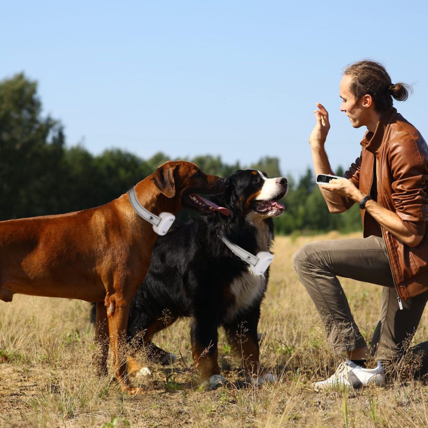 Electric Remote Training Collar| Remote Dog Collar | Electric Dog Trainer | Dog Training Collar | Wireless Dog Collar |Pet Training Collar | Rechargeable Dog Collar | Dog Obedience Collar | Shock Dog Collar |Long-Range Dog Collar | Waterproof Dog Trainer |