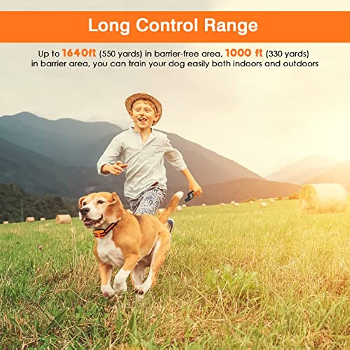 Dog Training Collar