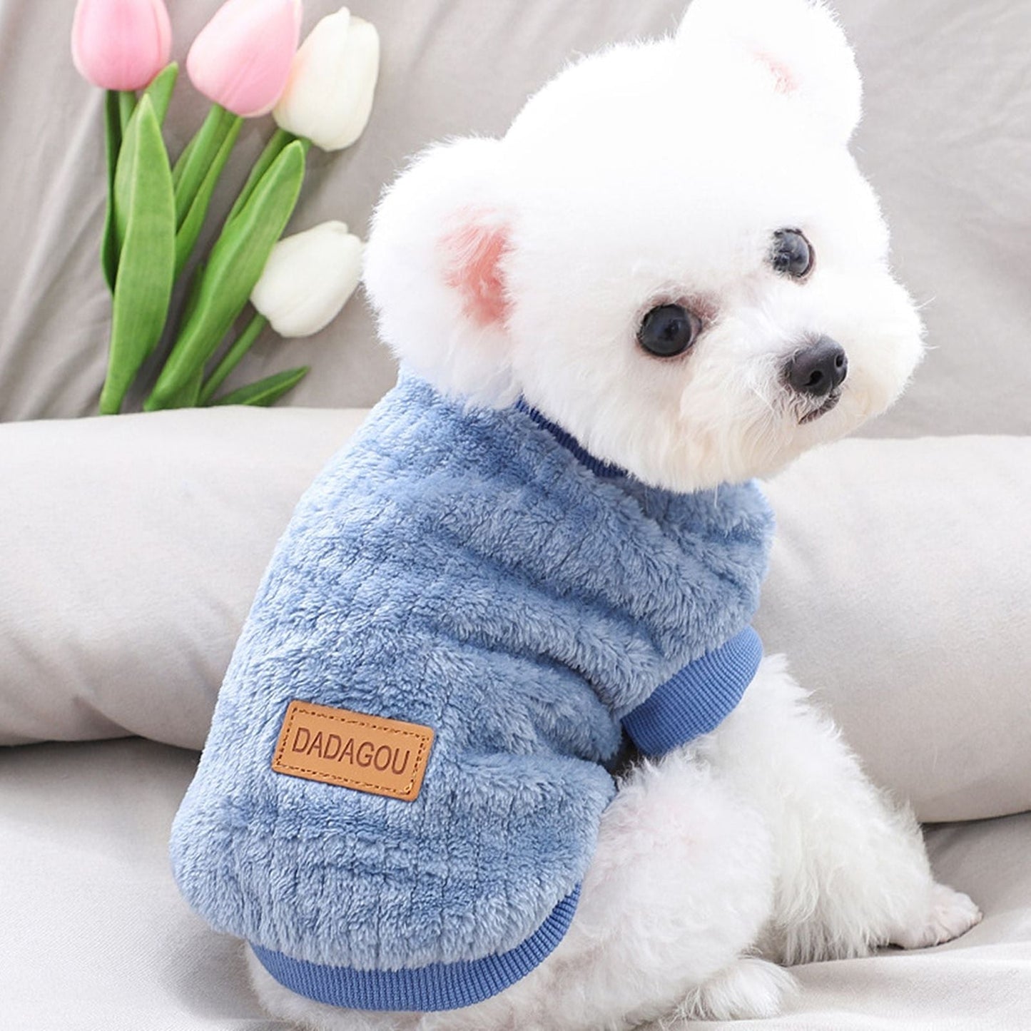 Pet Sweater