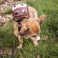  dog pack for hiking