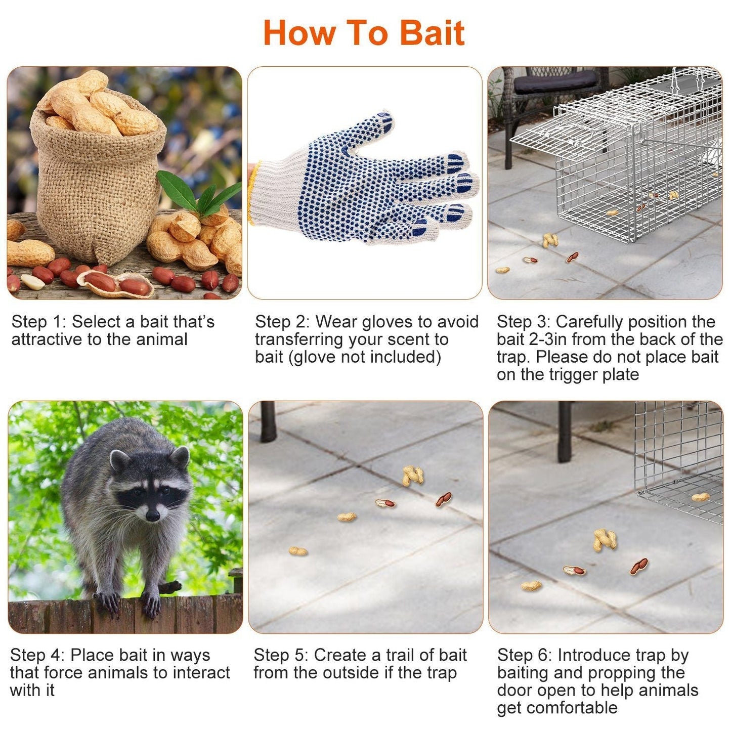Safe & Effective Trap