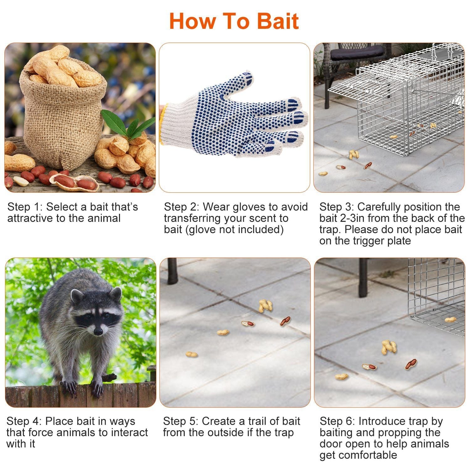 Safe & Effective Trap