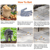 Humane Live Animal Trap Cage |Collapsible Cat & Rodent Trap |Galvanized Wire Animal Catch Cage |Catch-and-Release Animal Trap |Multi-Species Live Animal Trap |Humane Wildlife Catch Cage |Live Rodent and Small Animal Trap |Animal Containment Cage for Catch and Release |Fox and Raccoon Live Trap |Portable Humane Animal Trap