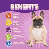 Canine Probiotic Boost |Gut Health Probiotic |Digestive Care Powder |Probiotic Allergy Relief |Tummy & Immune Support |Healthy Gut Formula |Advanced Dog Probiotics |Puppy & Dog |Digestive Aid |Probiotic Enzyme Blend |Allergy & Gut Balance