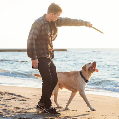 374621161 990FT Range Dog Wireless Fence