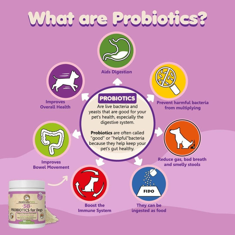 | Gut Boost Probiotic Powder | Digestive Care Probiotics | Tummy Health Probiotic |
Canine Digestive Support | Allergy Relief Probiotics | Probiotic & Enzyme Blend |
Immune & Gut Support Powder | 5 Billion CFU Dog Probiotics |
Healthy Tummy Probiotic Mix | Advanced Probiotic Formula |