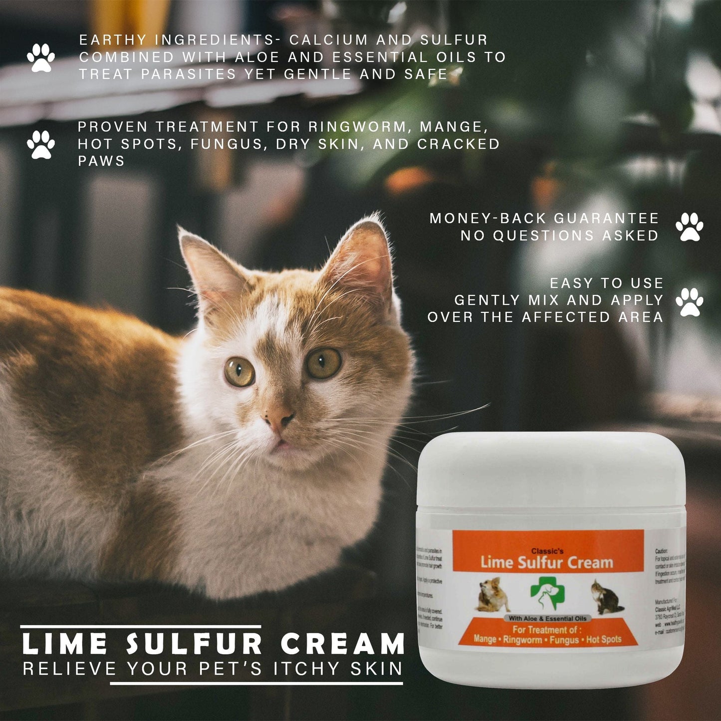  pet skin infection remedy