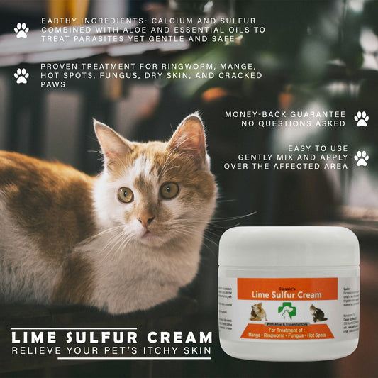  pet skin infection remedy