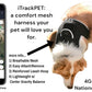 GSM GPS Mini