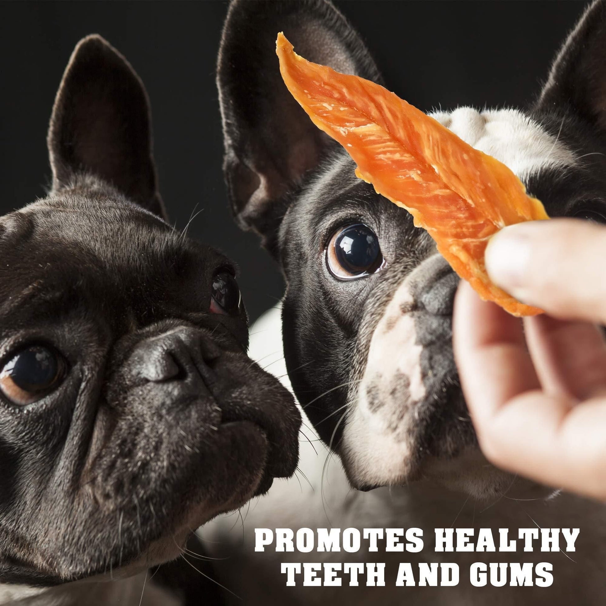 Chicken Jerky Dog Treats