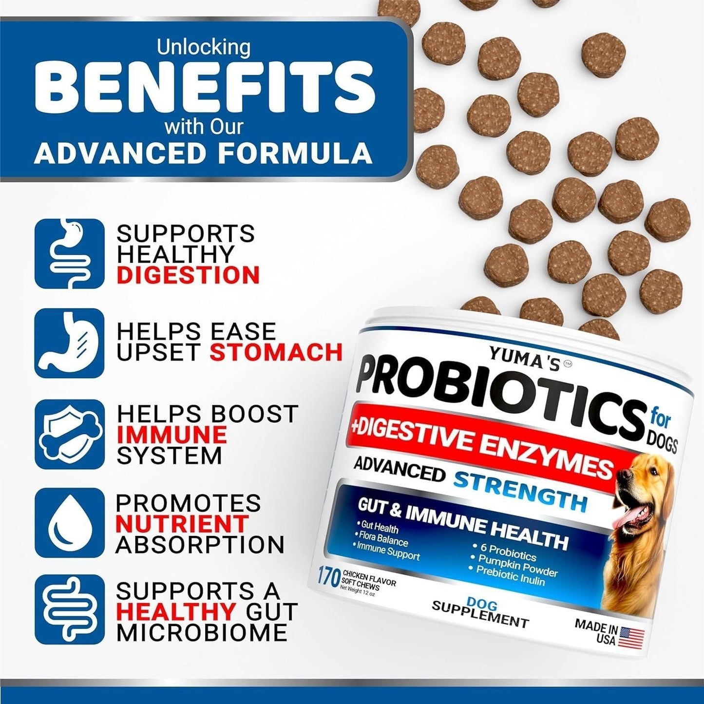 Probiotics for Dogs