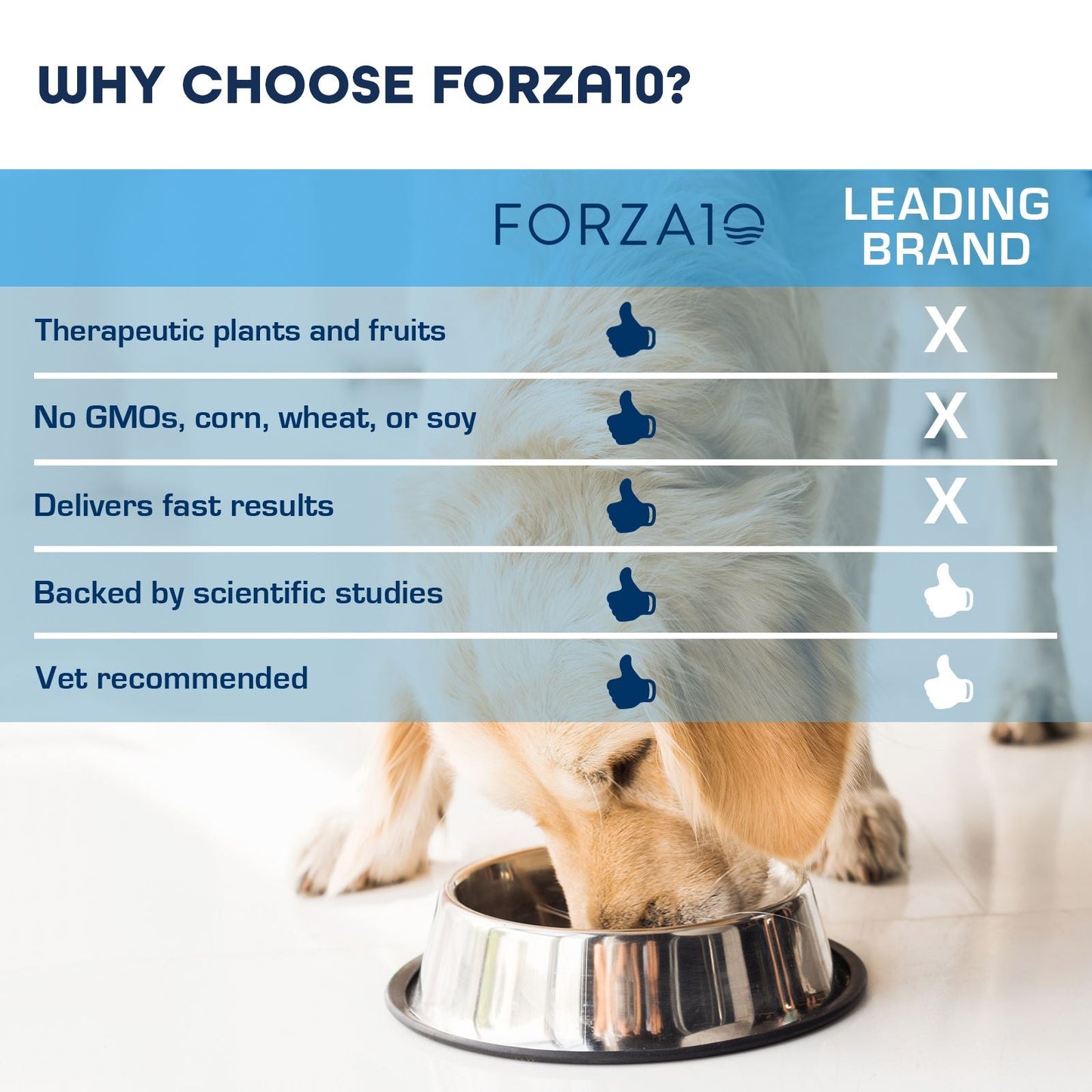Sensitive Dog Behavioral
