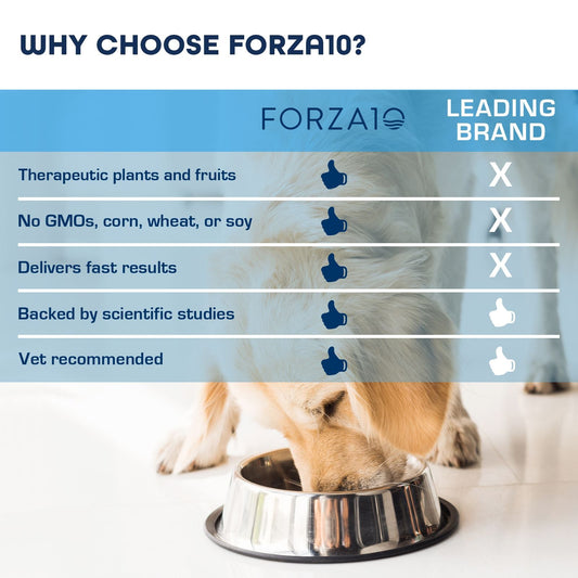 Sensitive Dog Behavioral