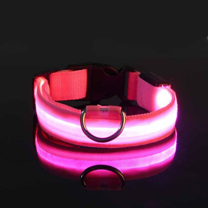 Glow-In-The-Dark Pet Collar