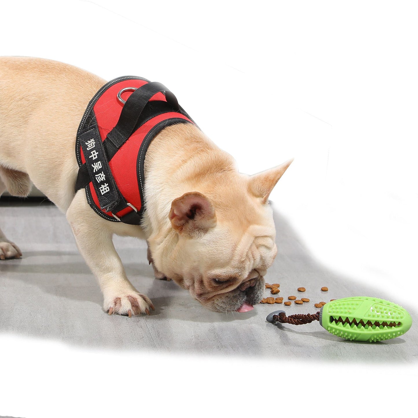 RubberChewBall