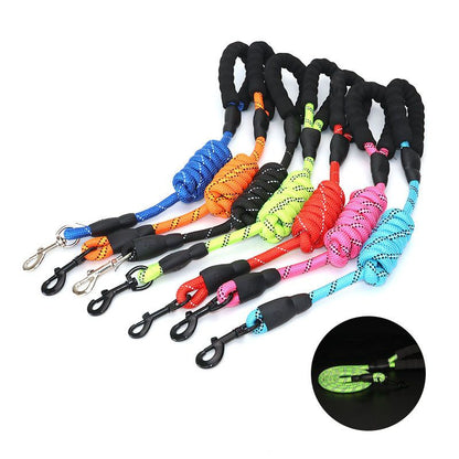 375486561Pet Leash