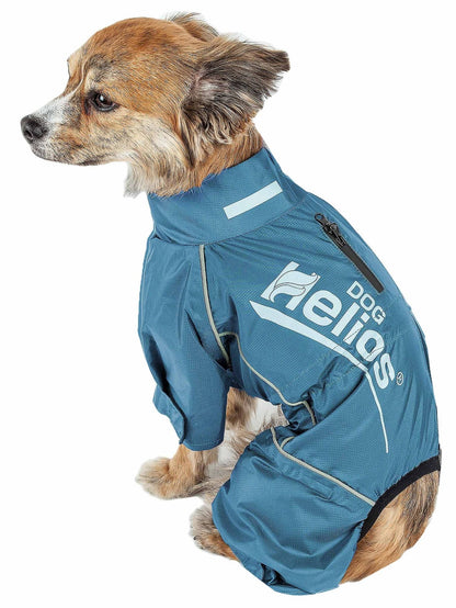 Hurricanine Dog Jacket