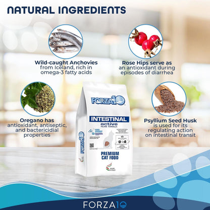  Active Cat Intestinal