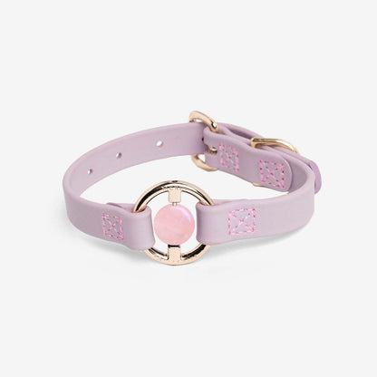 Luxury Spill-Proof Dog Collar