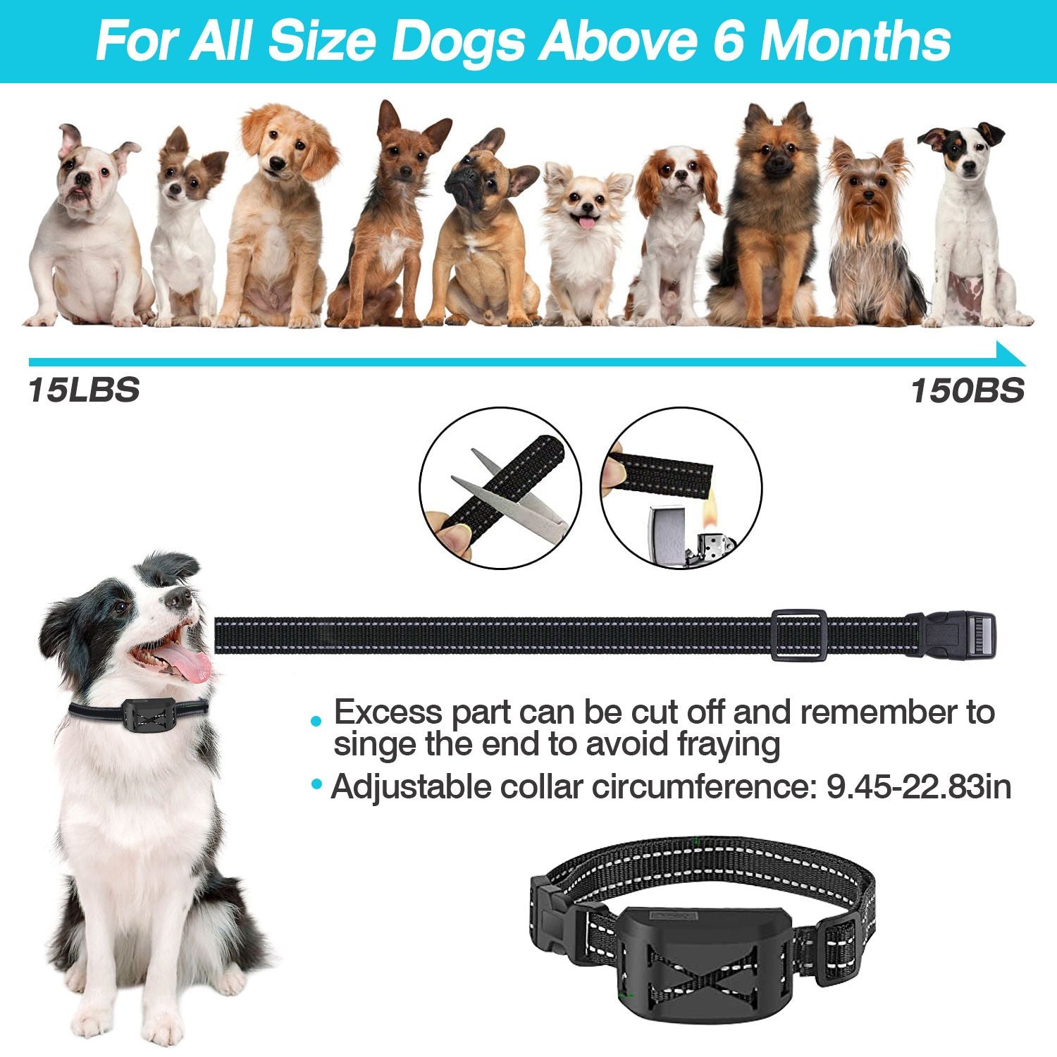 Wireless Electric Dog Fence| Wireless Dog Fence & Collar | 2-in-1 Dog Fence Trainer | Dog Training & Fence Collar |Pet Boundary & Training Collar | Electric Dog Fence System | Wireless Pet Training Collar |Dual-Mode Dog Trainer | Dog Fence & Trainer Combo | 2-in-1 Pet Trainer Collar |Dog Boundary Collar |