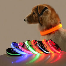 Glow-In-The-Dark Pet Collar