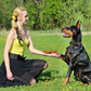 984FT Dog Training Collar| 984FT Dog Trainer | Long-Range Dog Collar | 3-Mode Dog Collar | Rechargeable Dog Trainer |Waterproof Dog Collar | Pet Training Collar | Dog Obedience Collar | Remote Dog E-Collar |Shock & Vibration Collar | Safety Lock Dog Collar |