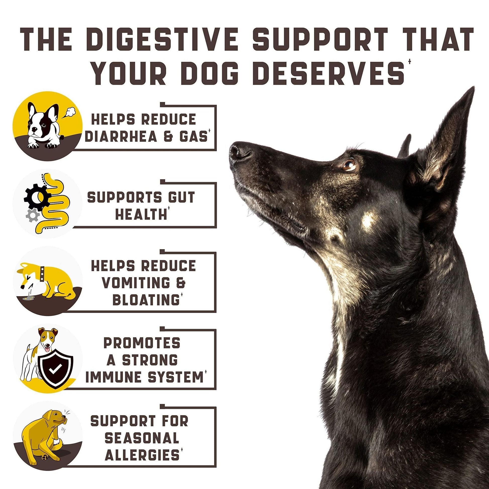 dog probiotics chews
