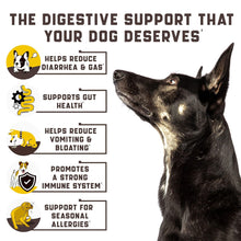 dog probiotics chews