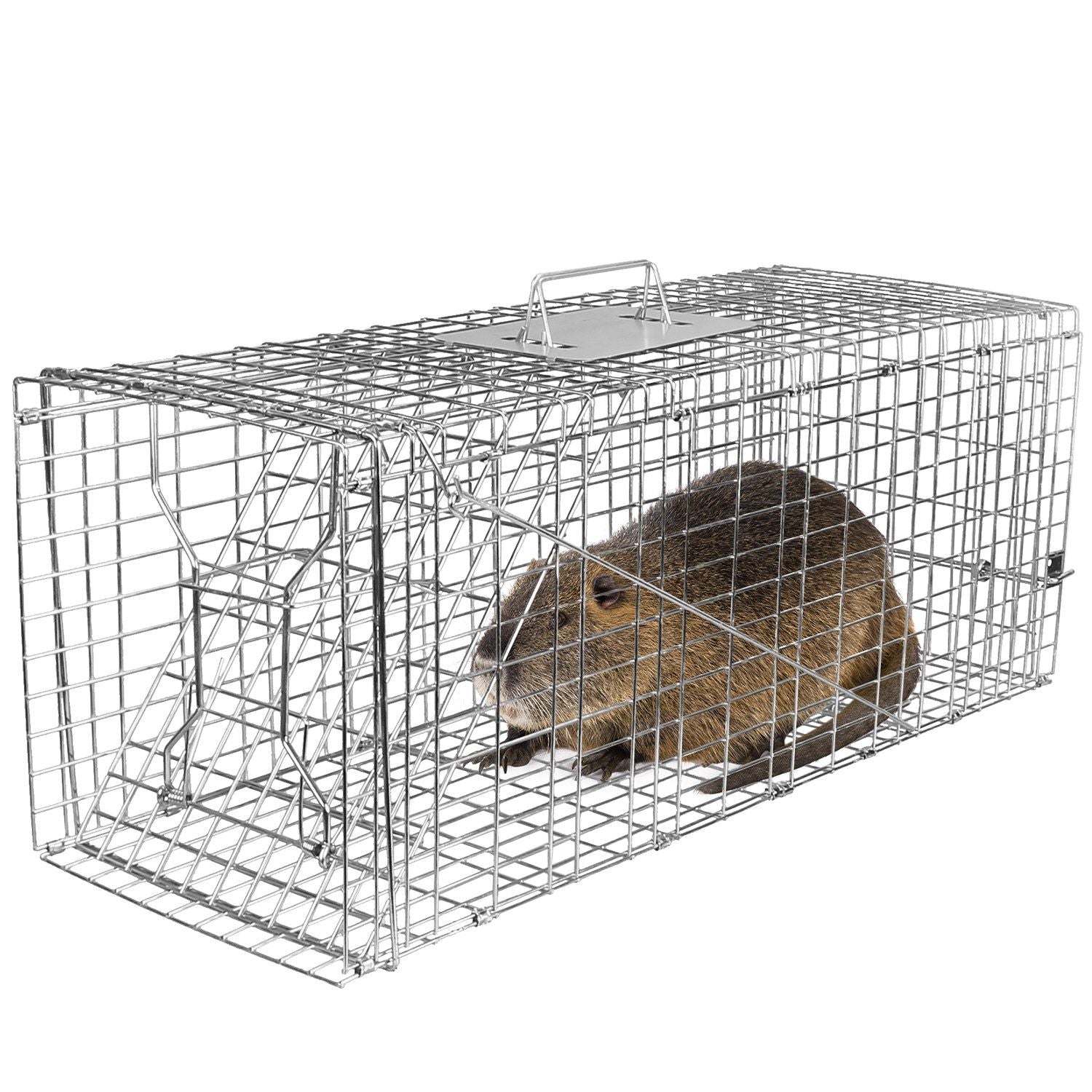 Safe & Effective Trap