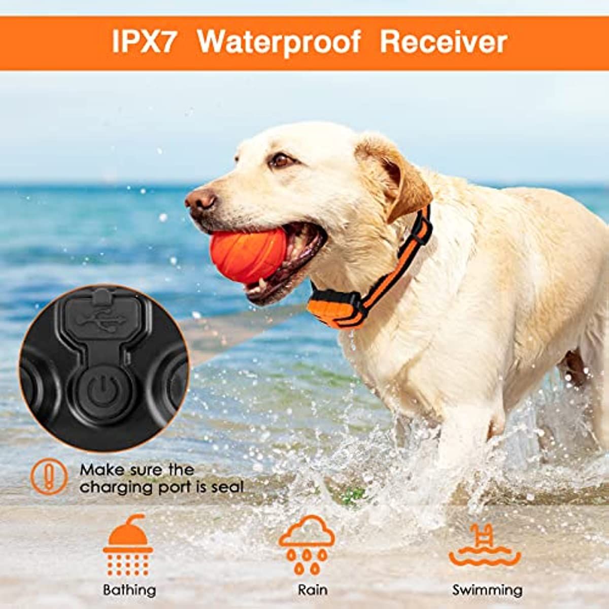 Dog Training Collar