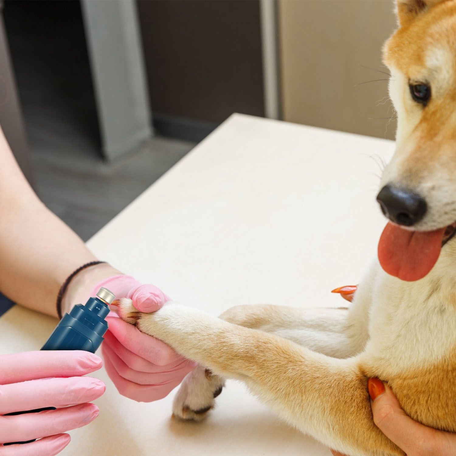 Dog Nail Grinder