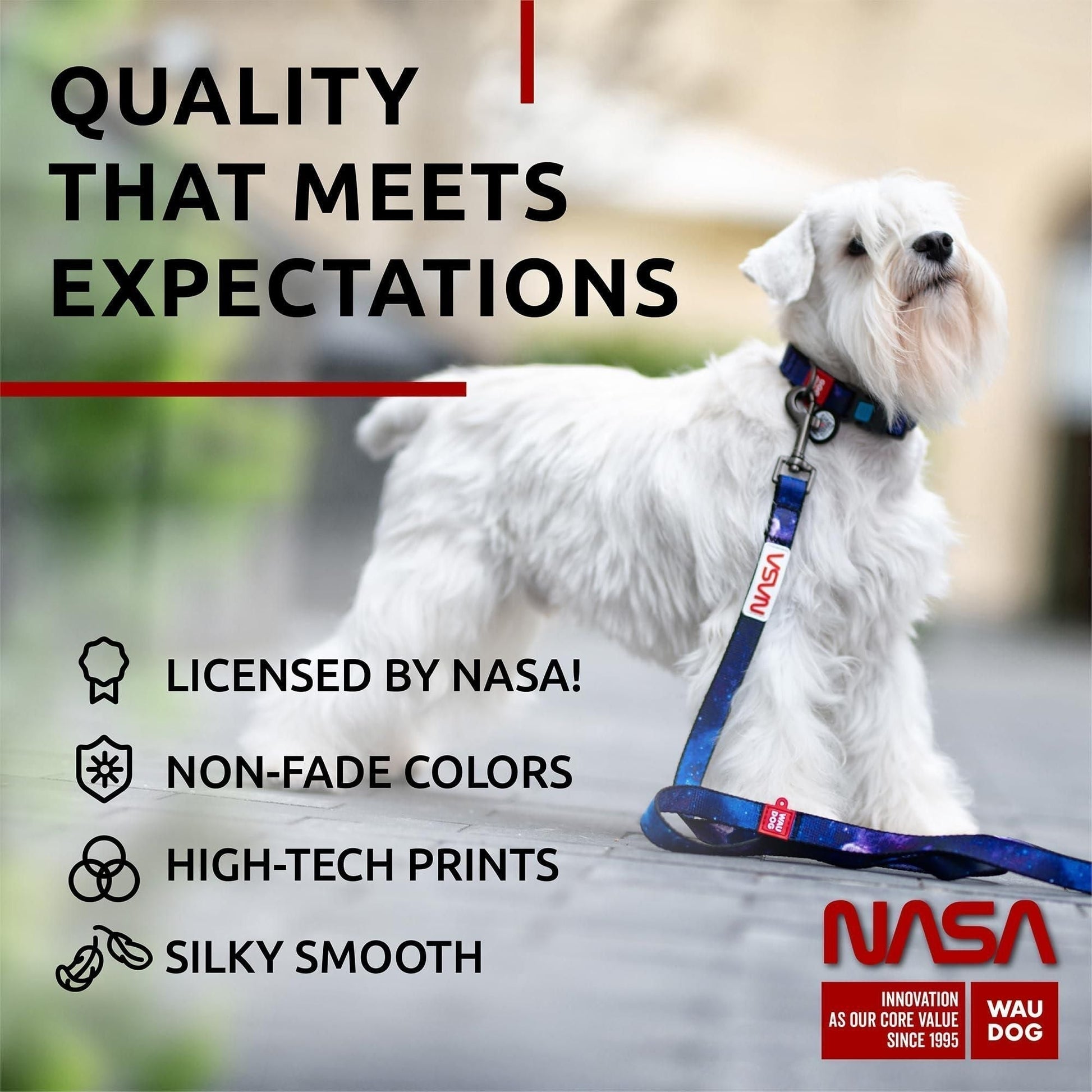 375487101Nylon Dog Leash