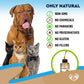 Herbal Medicine for Cats and Dogs