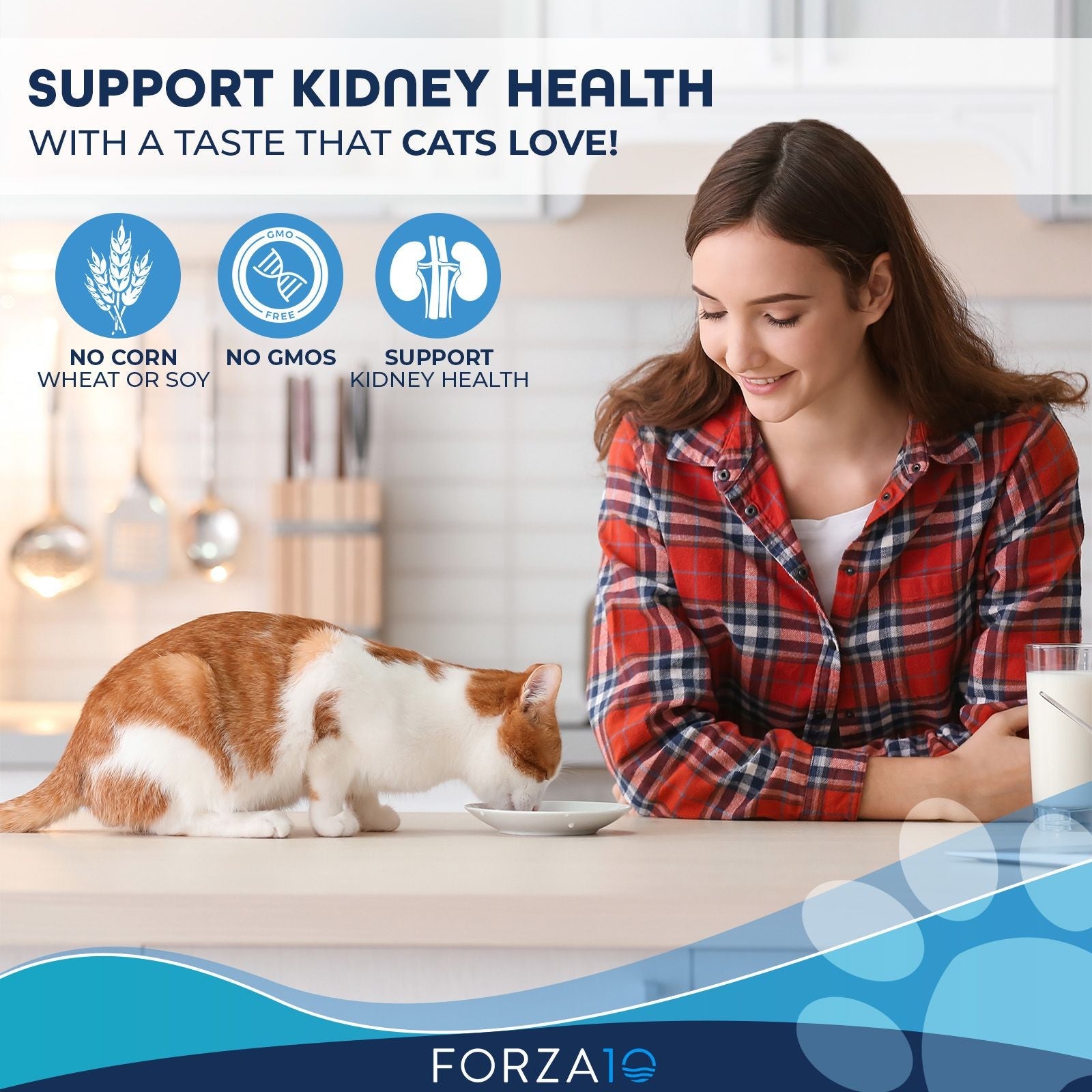Actiwet Cat Renal
