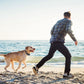 Wireless GPS Dog Fence| GPS Dog Fence | Wireless Pet Fence | GPS Pet Fence | Dog Boundary System | Wireless Dog Fence |Pet Containment Collar | Dog GPS Fence | GPS Dog Collar |